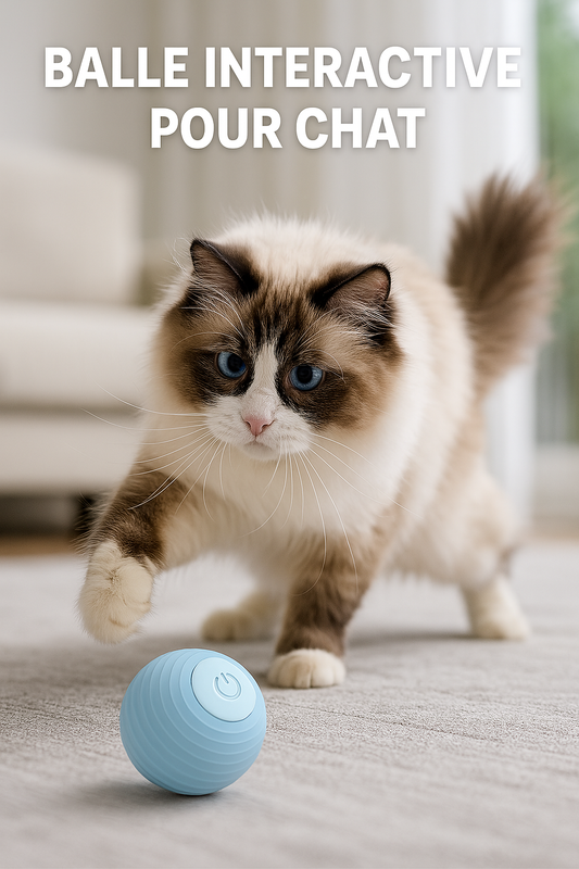 Jouet Intelligent pour Chat – Balle Interactive Automatique Rechargeable USB | Balle Électrique Tournante pour Chats
