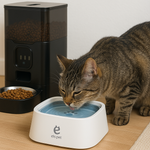 Gamelle d’eau flottante pour chien et chat – Anti-éclaboussures, anti-débordement, garde la bouche sèche, idéale à la maison ou en voyage